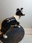 Foto 7 di 13