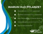 Bild 5 von 5