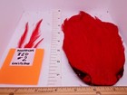 Bild 109 von 168
