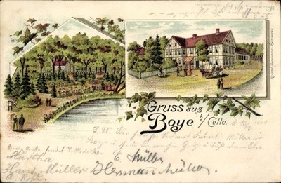 Litho Boye Celle in Niedersachsen, Gesamtansicht, Garten - 11429147