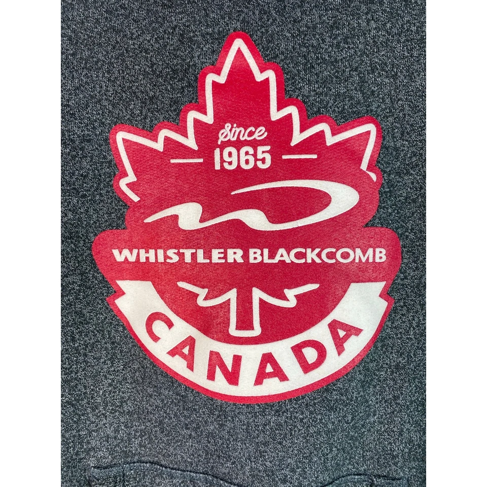 Roots S серый свисток Backcomb Canado тяжелый пуловер толстовка с капюшоном - Изображение 2 из 4