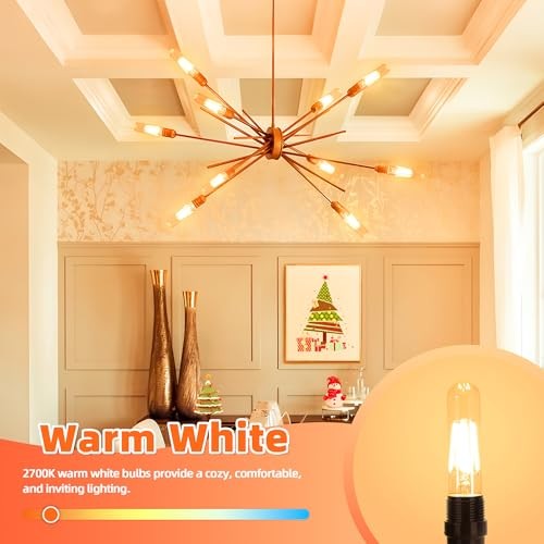 Dimmable E26 LED Bulb 60W Equivalent, Warm White 2700K Clear Edison T10 - Bild 3 von 7