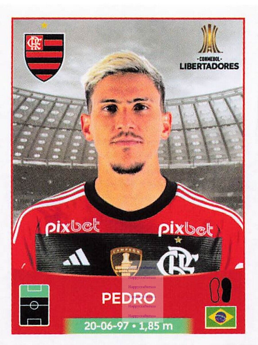 2023 PANINI CONMEBOL Copa Libertadores Sticker #445 MARIANO - CAM • $4.99  in 2023