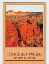 Postcard Petrified Logs In Logs Area Petrified Forest National Park Arizona USA