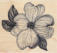 Dogwood Flower Spring Wood Mounted Rubber Stamp IMPRESSION OBSESSION E12002 New