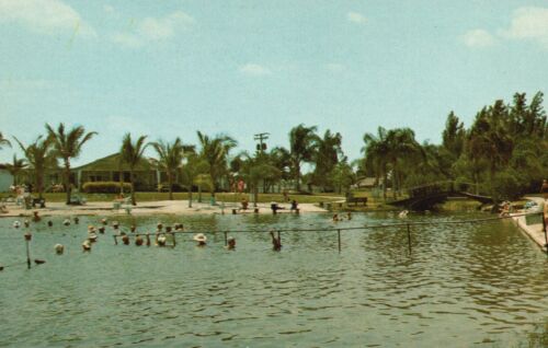 Carte postale FL North Port Charlotte Floride sources minérales chaudes vintage PC H7359 - Photo 1/2