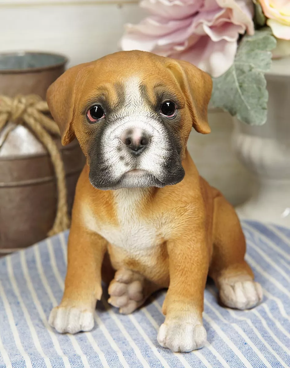 Ebros Lifelike Sitting Fawn Boxer Puppy Dog Figurine With Glass
