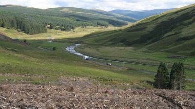 Foto 6x4 Upper Tweeddale Glenbreck klare Fällung hat einen Blick Dow freigegeben c2008