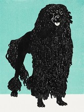 Decor Poster.Wall room design.Home vintage interior art.Black Poodle dog.12409