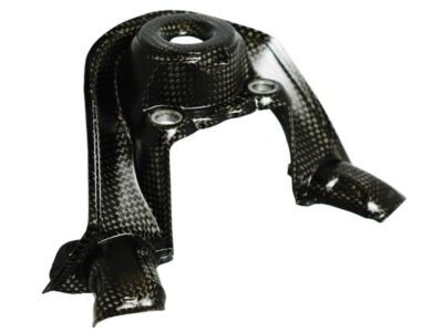 Ignition switch cover carbon for Ducati Streetfighter V4 CarbonWorld