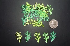 50 PAPER MARTHA STEWART FIR BRANCH DIE CUTS PUNCHES CONFETTI 5 SHADES OF GREEN