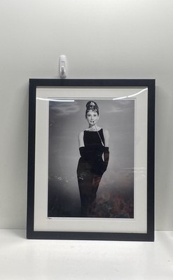 Trowbridge Audrey Hepburn Limited Edition Print 228/295 Framed Art 23x29