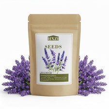 10,000 English Lavender Seeds for Planting Indoors or Outdoors, Flower Seeds ...
