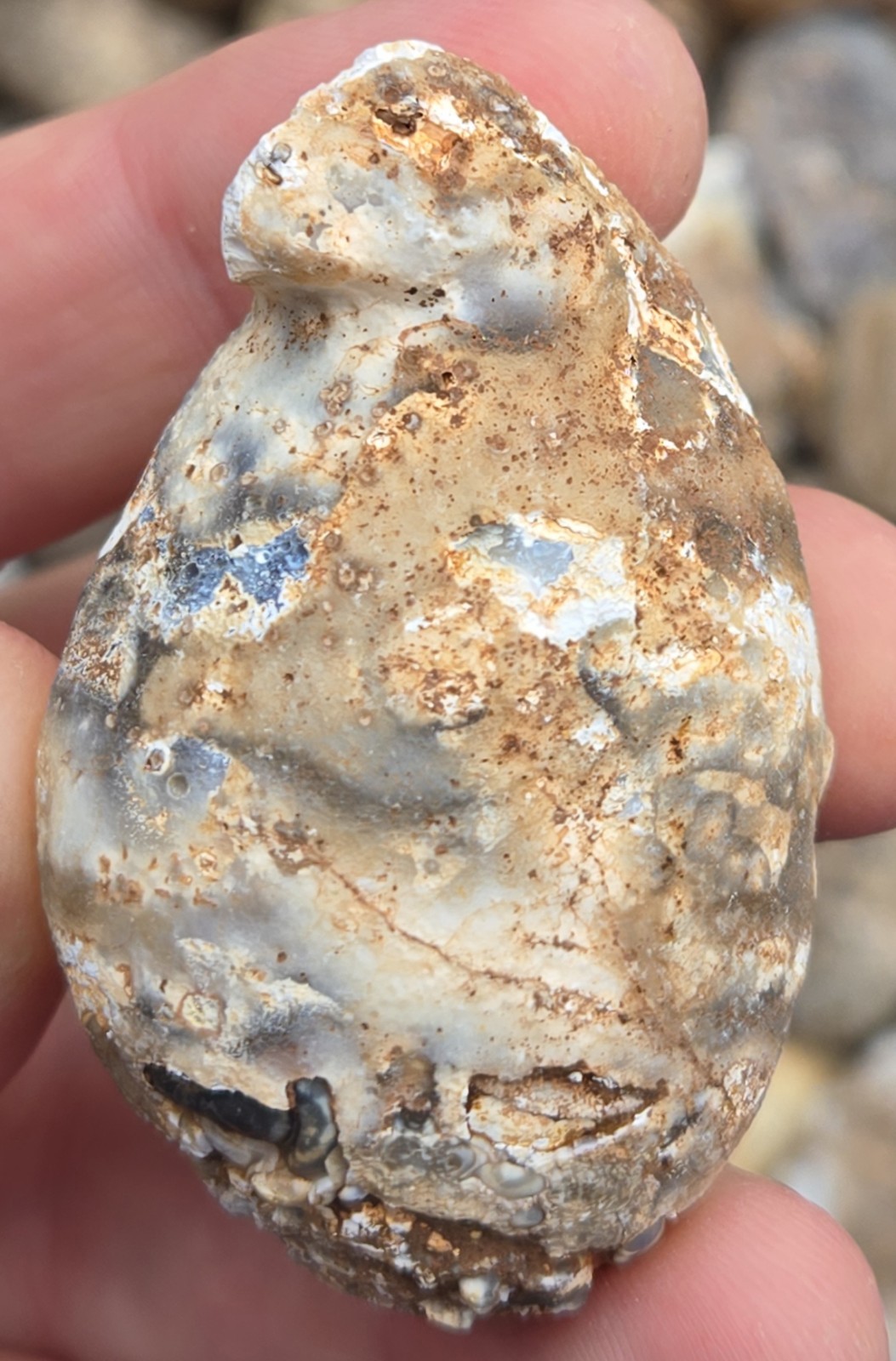 Oco Agate Geodes Whole - Mine Run Rough - 1 Pound Lb - Mostly Solid Agate