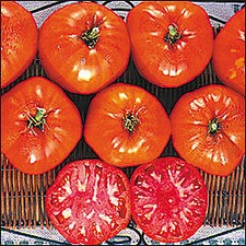 Tomato Italian Heirloom  250 seeds