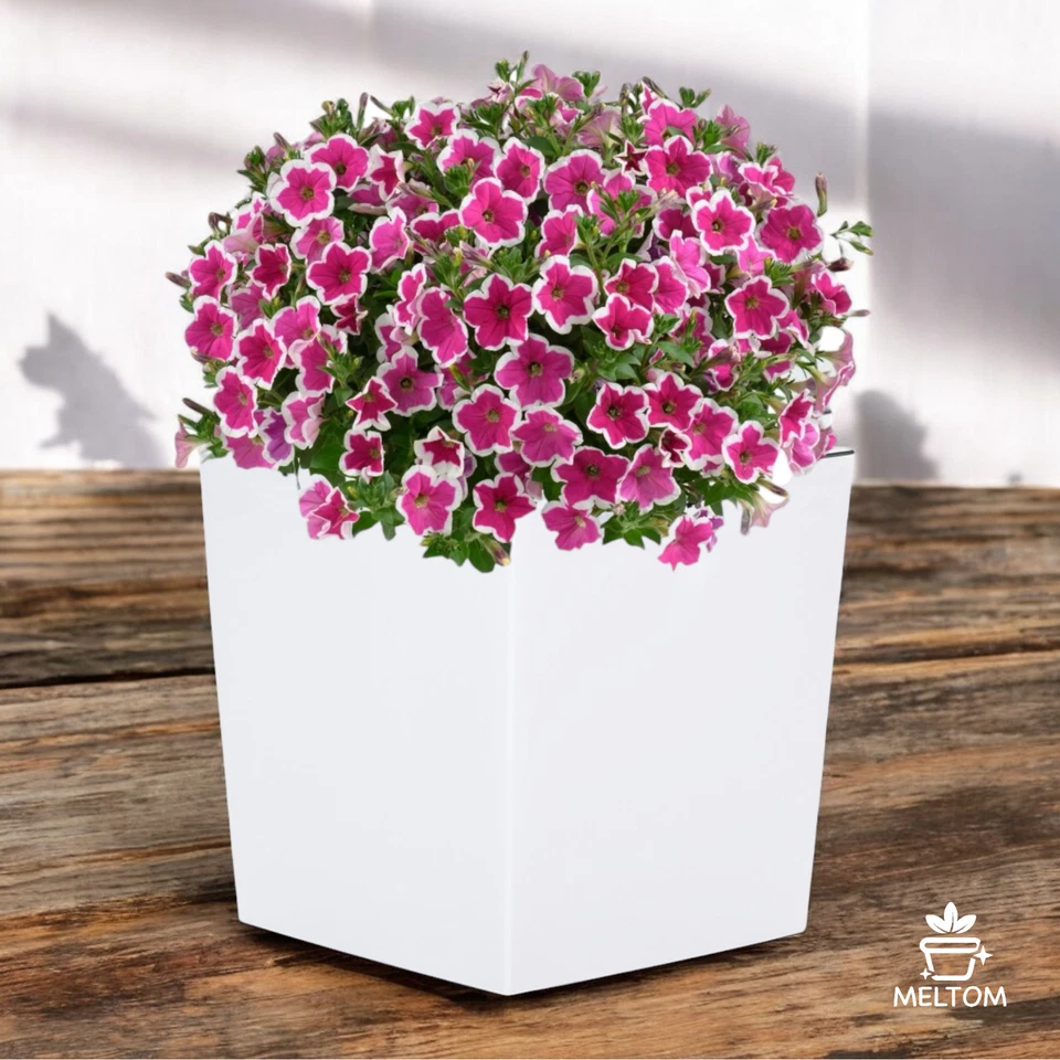 Pflanztopf Eckig Hochglanz Pflanzkübel mit Einsatz Blumenkübel Pflanzensäule - Bild 4 von 4