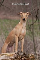 Trainingstagebuch Whippet 100 Seiten A5, Vorlagen FüR Hundetraining, Notizen