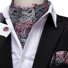 Hi-Tie Mens Ascot Sliver Paisley Cravet Tie Hankie Cufflinks Set Wedding Office
