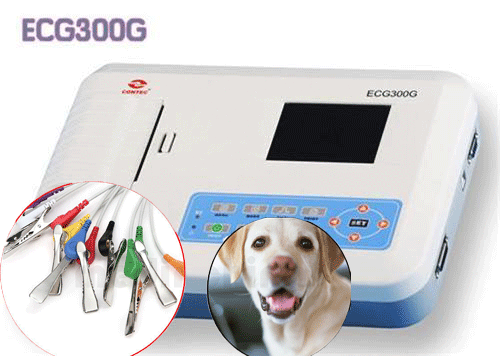 Máquina veterinaria de ECG de 3 canales electrocardiógrafo de ECG de 12 cables para impresora FP - Imagen 10 de 10