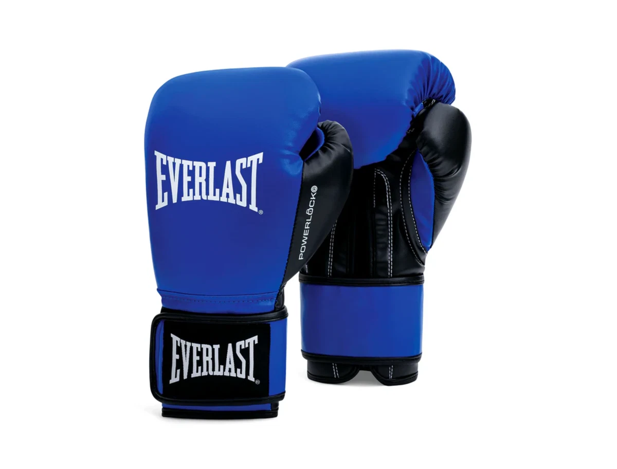 Everlast Blue 16 oz. Weight Boxing Gloves for sale | eBay