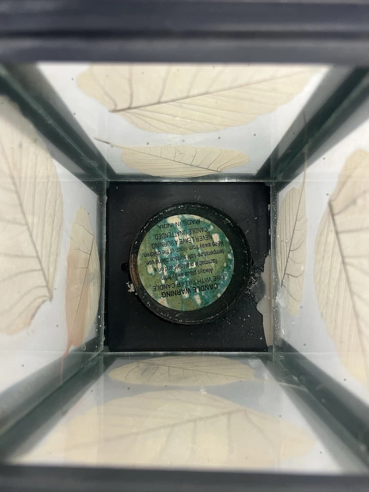 Candelabro Hoja Prensada Vidrio y Metal Linterna 8" Marco Negro Decoración Boho India Foto 4 de 4