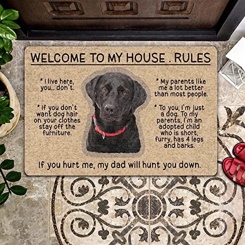,Door Mat Indoor Entrance Retriever Doormat Welcome to My House Rules Welcome