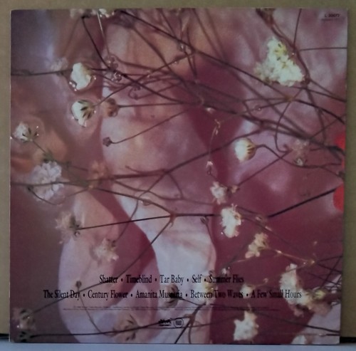 SHELLEYAN ORPHAN - CENTURY FLOWER 1989 ROUGH TRADE 137 AUS LP - Picture 2 of 4