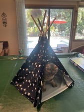 Pet Tent Cave Bed for Cats Small Dogs Cat Teepee Tent Collapses For East Storage