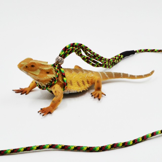 Bearded dragon leash, Reptile adjustable leash, Iguana leash, Reptile