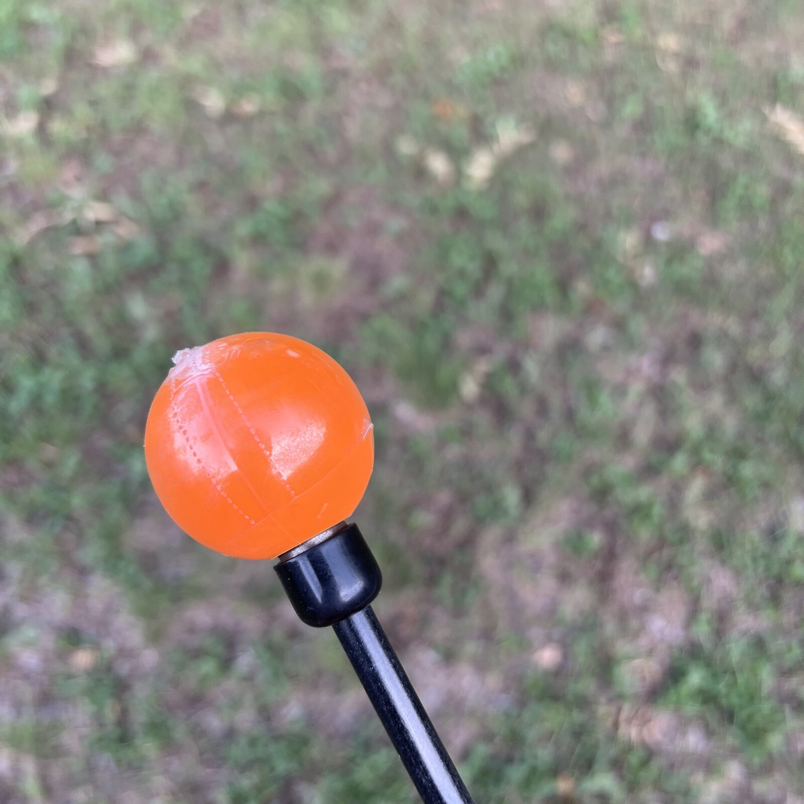 Orange Whip Lightspeed Golf Swing Trainer Aid & Made in USA 43” 853279004213 eBay