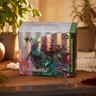 MTG Magic the Gathering Bloomburrow Collector Boosters Box 12 booster packs