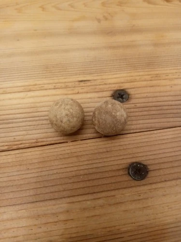 American Civil War Confederate bullets from battle at Chickamauga Georgia