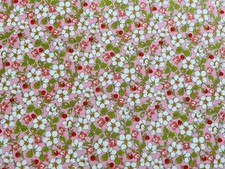 Liberty Fabric Paysanne Blossom Remnant 18ins x 10ins Tana Lawn Patchwork Crafts