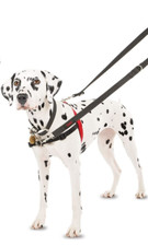 Halti Control Dog Harness Black/Red Size M 22.83" - 33.85" Adjustable