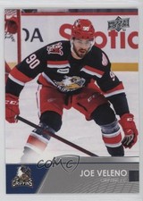 2021-22 Upper Deck AHL Joe Veleno #74 14sg