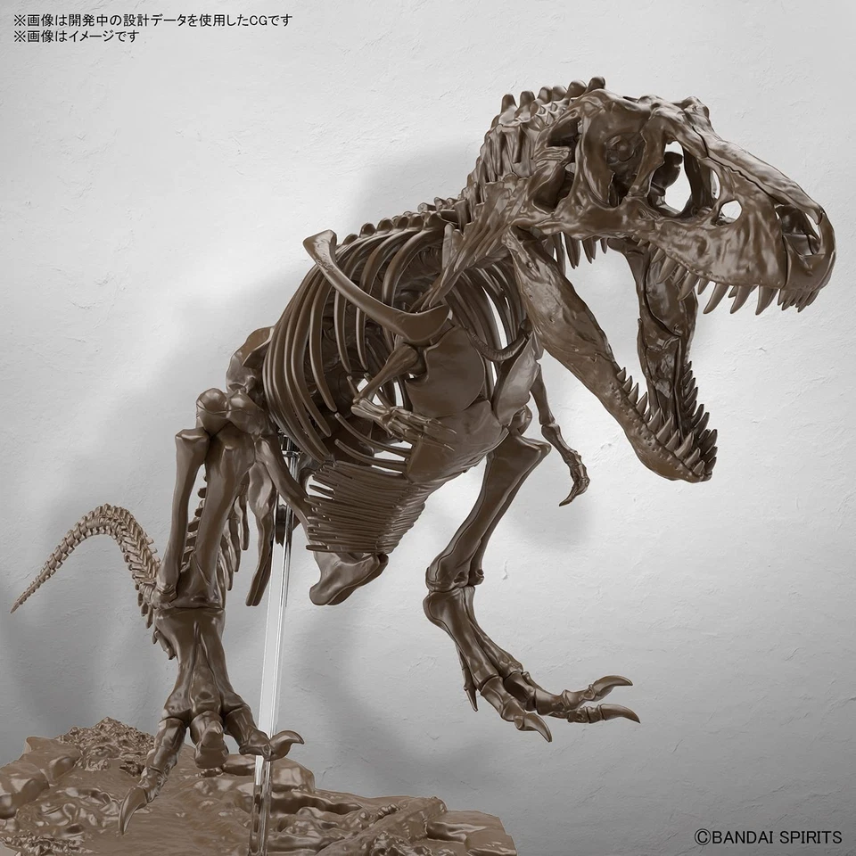 Imaginary Skeleton Tyrannosaurus 1/32 Dinosaur Model kit 197694 Bandai Spirits - Image 4 of 4