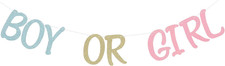 Glittery Boy or Girl Banner for Gender Reveal Party Decorations Photo Prop Baby