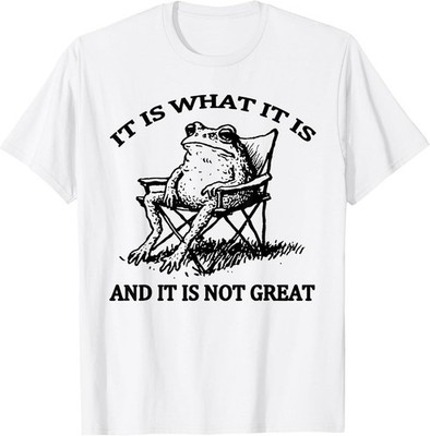 It is What It is and It is Not Great Resting Frog Meme T-Shirt Gift