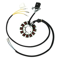 12 COIL 5 WIRES POLE STATOR MAGNETO FOR CHINESE ATV TAOTAO 300 A 300 Gokart Quad