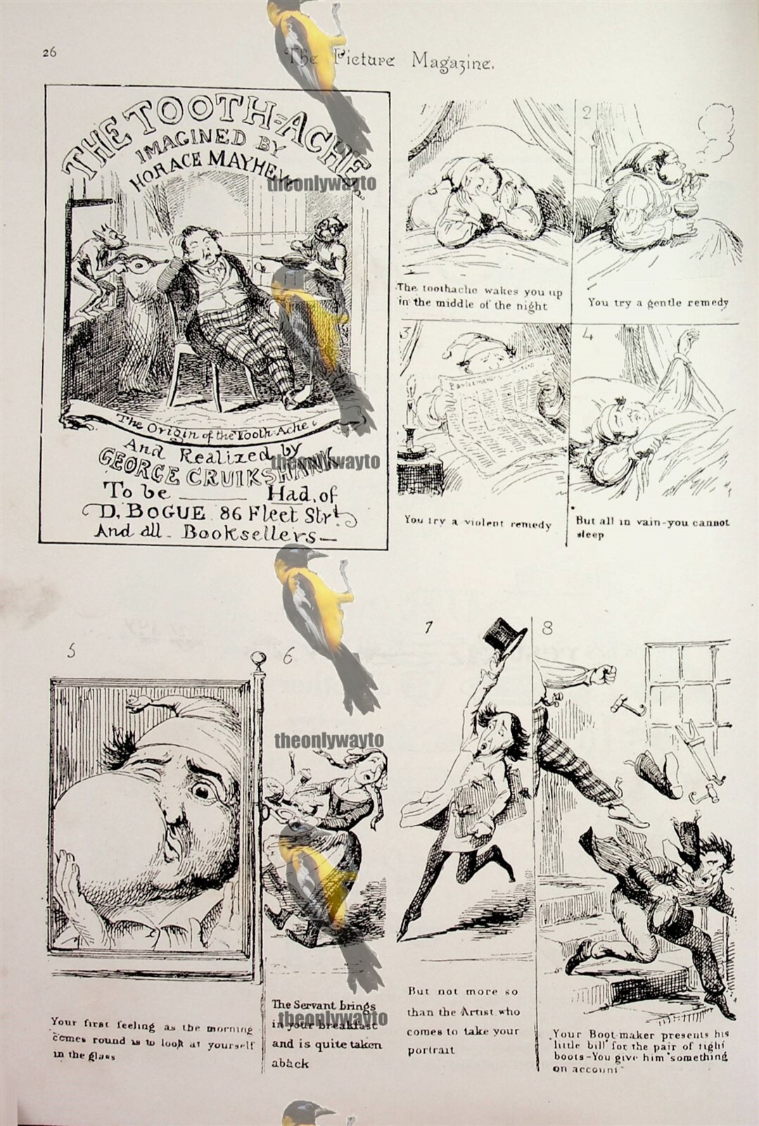 Mal di denti (1), umorismo in vecchie stampe, altro sul retro, illustrazione...