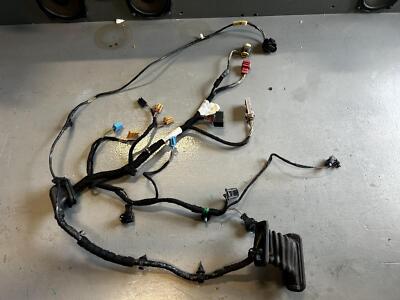 VOLKSWAGEN EOS -Right Front Door Harness W/ Kessy W/ Dynaudio 1Q0971120DS 