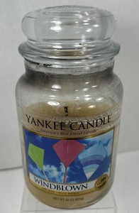 Yankee Candle Windblown Large Jar 22 Oz Housewarmer Fresh Series Wax Used