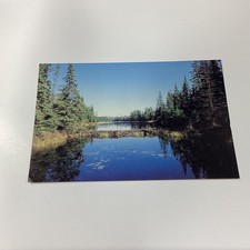 Vintage Canadian Beaver Dam Lithograph Postcard by Donald Stanfield
