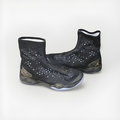 Jordan XX8 28 Think 16 Ray Allen Locked and Loaded Miami Heat