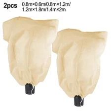 Keep Your Palm Trees Thriving Through Winter with Winter Fleece Covers