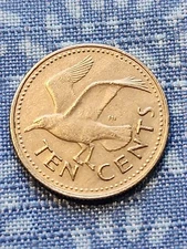 1973 Barbados Coin 10 Ten Cents ☆  KM# 12 ☆Seagull bird ☆ Foreign Coin  C-24