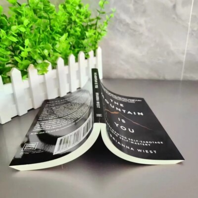 The Mountain Is You: Transforming Self-Sabotage Into Self-Mastery Paperback