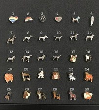 Dog Floating Charms, Memory Locket Charms, Rainbow Bridge Charm, Dog Charms