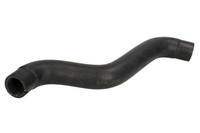 Thermotec KüHlerschlauch DWF079TT Passend FüR Fiat