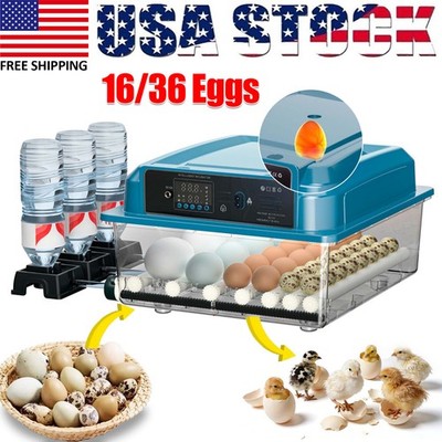 Incubator for Hatching Eggs, 16/36 Eggs Incubator, Auto Egg Turning Temp Control